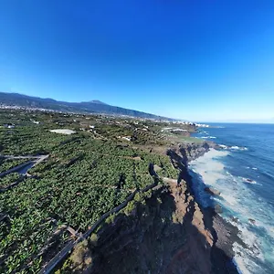https://papaya-paradise.in-canary-islands.com